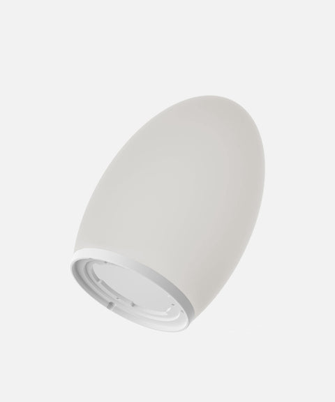 NEOZ Sandblasted Glass Egg Body